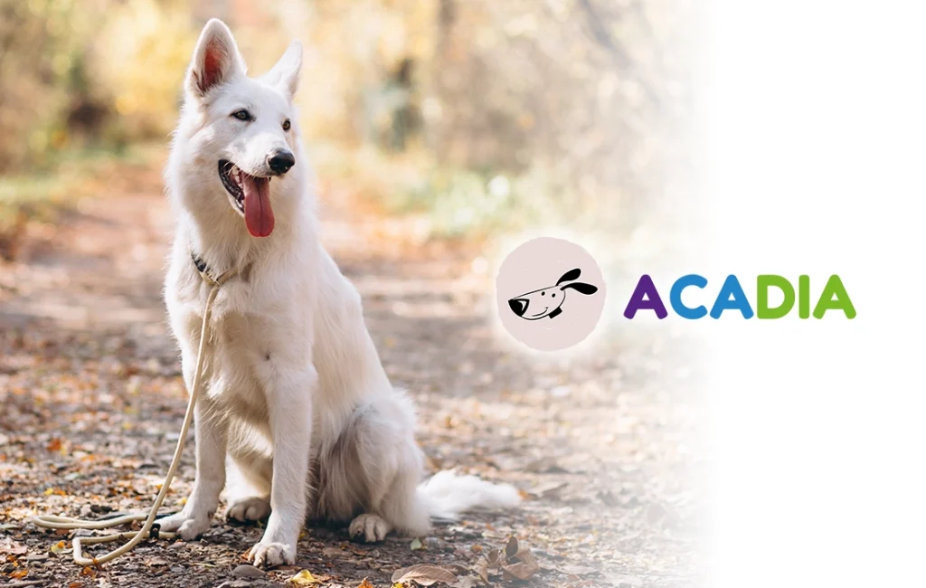 triangle-interim-entreprise-acadia